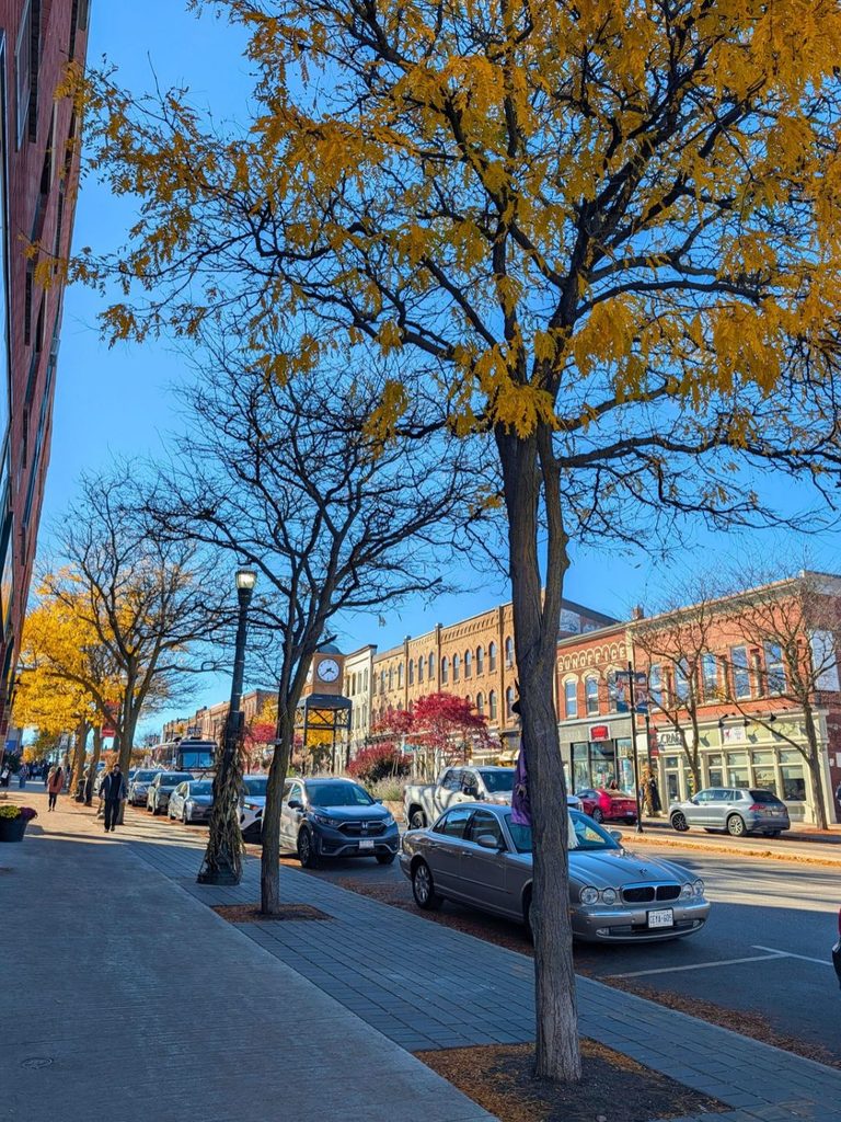 Broadway in Orangeville, Ontario